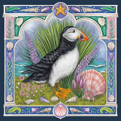 Faroe Puffin