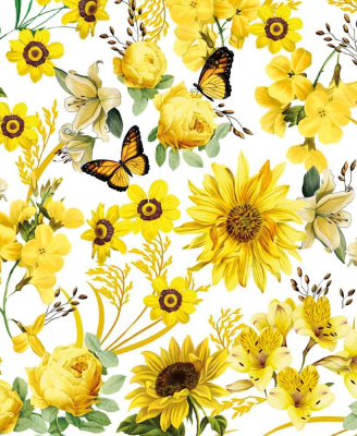 Yellow Butterflies|Museums & Galleries