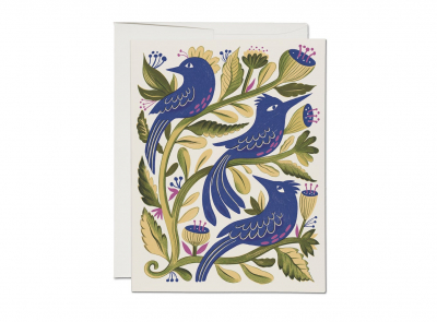 Purple Birds Everyday boxed set|Red Cap Cards