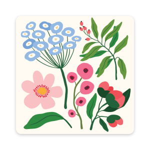 Botanical Bliss Mini Note Card Set with Stickers|Studio Oh!