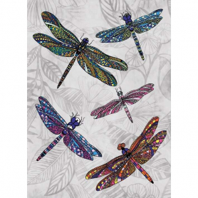 Dragonfly Dance|Museums & Galleries