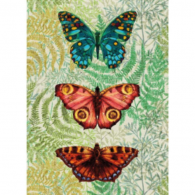 Butterfly Ferns|Museums & Galleries