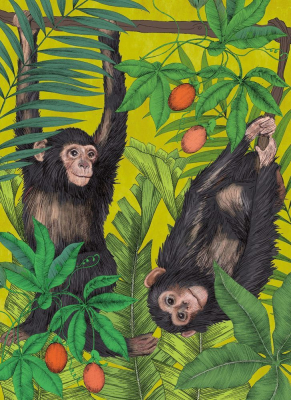 Monkey Business|Museums & Galleries