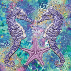 Dna Seahorses|Museums & Galleries