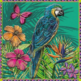 Parrot And Butterfly|Museums & Galleries