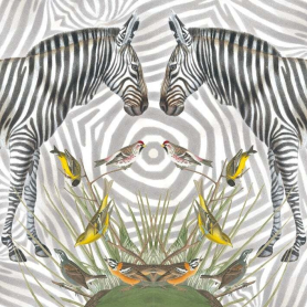 Zebra|Museums & Galleries
