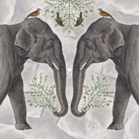 Indian Elephant|Museums & Galleries