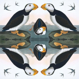 Horned Puffin|Museums & Galleries