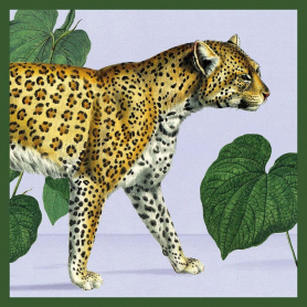 Leopard|Museums & Galleries