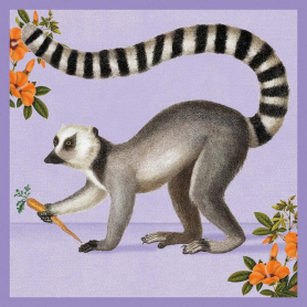 Ring Tailed Lemur|Museums & Galleries