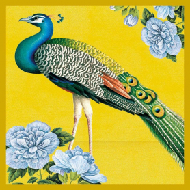 Indian Peacock|Museums & Galleries
