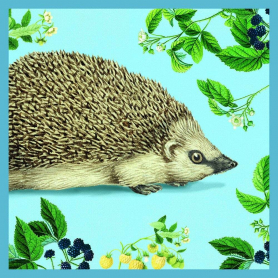 European Hedgehog