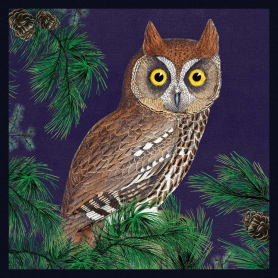 Red Owl|Museums & Galleries
