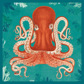 Octopus|Museums & Galleries
