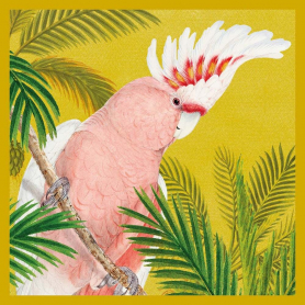 Pink Cockatoo|Museums & Galleries