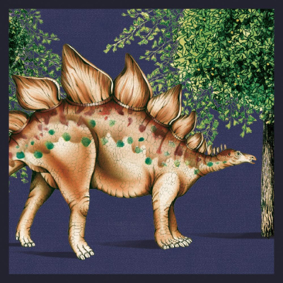 Stegosaurus|Museums & Galleries