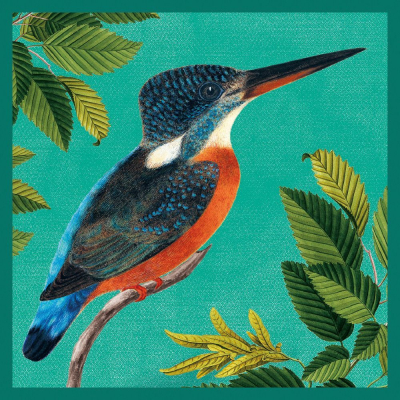 Great Blue Kingfisher|Museums & Galleries