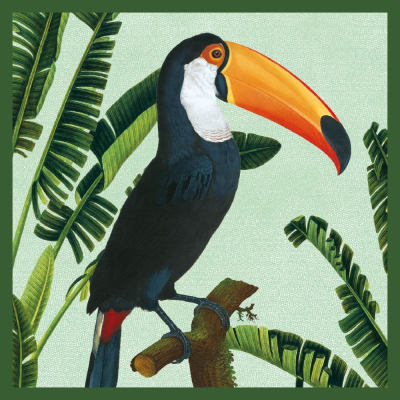Toco Toucan|Museums & Galleries