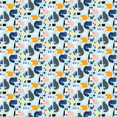 Silly Cats - 1 Pack Giftwrap
