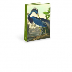 Audubon Water Birds - Note Card Wallet|Nelson Line