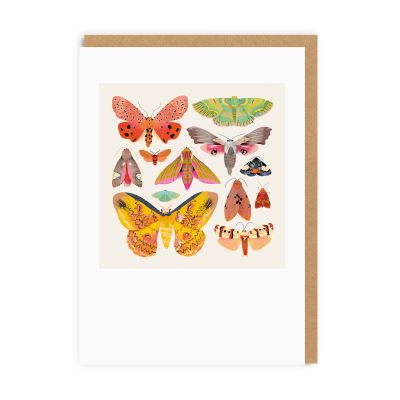 Moths And Butterflies