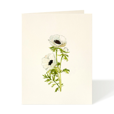 Anemone Blossoms|Felix Doolittle