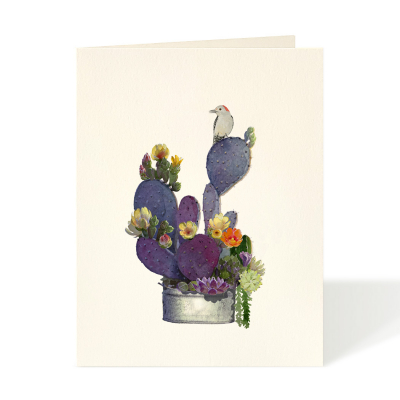 Blooming Cactus|Felix Doolittle
