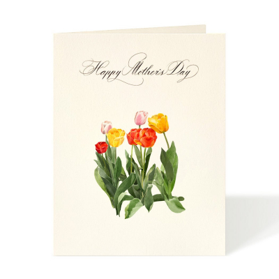 Spring Tulips|Felix Doolittle