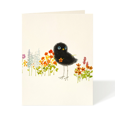 Ikootan Meadow|Felix Doolittle