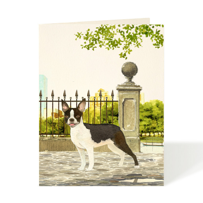 Boston Terrier|Felix Doolittle