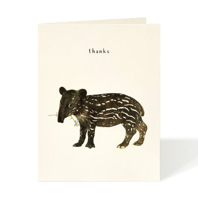Little Tapir|Felix Doolittle