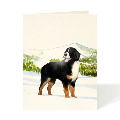 Bernese Mountain Dog|Felix Doolittle