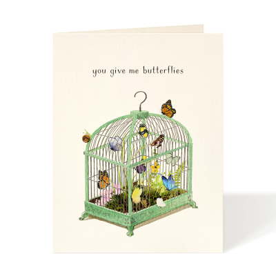 Butterflies|Felix Doolittle