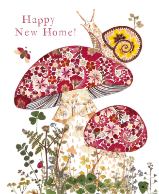 Snail And Toadstools Home