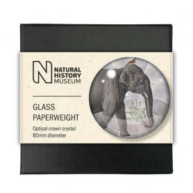 PAPERWEIGHT Elephants|Museums & Galleries