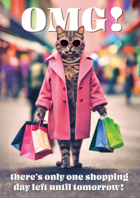Omg Shopping Cat
