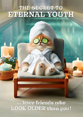 Eternal Youth Spa Cat
