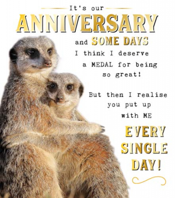 Meerkats Our Anniversary