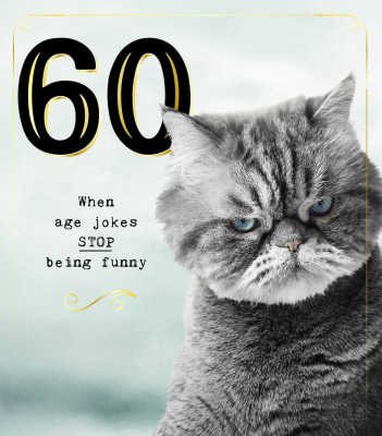 60 Grumpy Cat