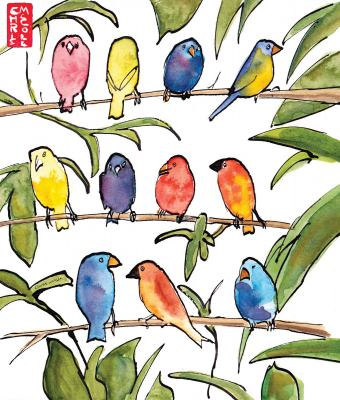 Colourful Birds