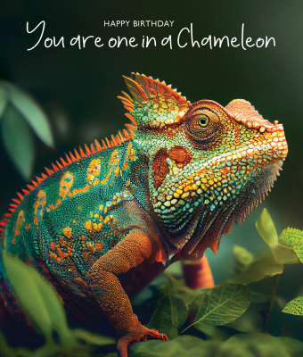 One In A Chameleon