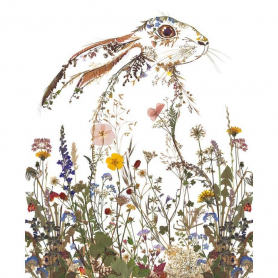 Wildflower Hare
