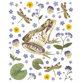 Garden Frog|Museums & Galleries