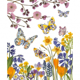 Butterfly Meadow|Museums & Galleries