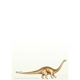 WRITING SET Diplodocus