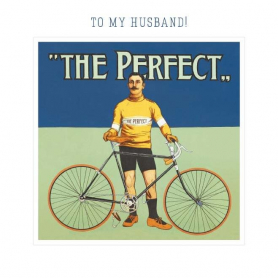 The Perfect Bicycle
