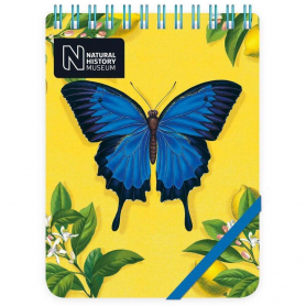 NOTEPAD Ulysses Butterfly|Museums & Galleries