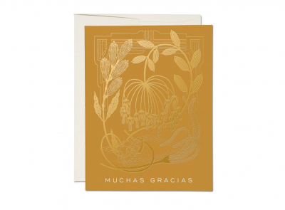 Mustard boxed set|Red Cap Cards