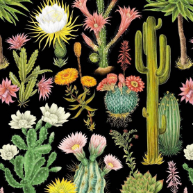 Cacti Crush|Museums & Galleries