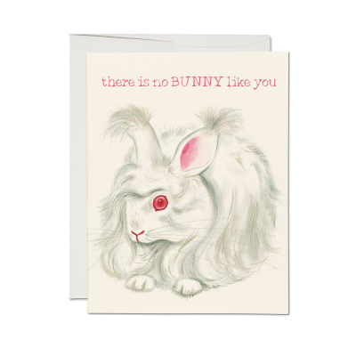 No Bunny Like You Friendship Card|Red Cap Cards